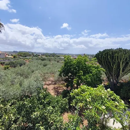 Konukevi L'araucaria *