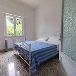 L'araucaria مارسالا