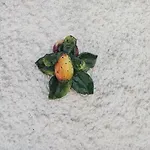 L'araucaria 4* مارسالا