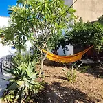 L'araucaria بيت ضيافة مارسالا