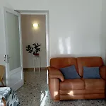 L'araucaria مارسالا