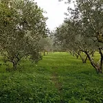 بيت ضيافة L'araucaria