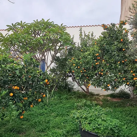 L'Araucaria Casa Vacanze * Marsala