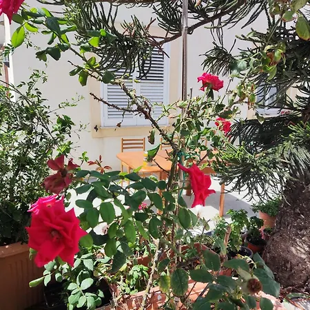 L'Araucaria Casa Vacanze * Marsala