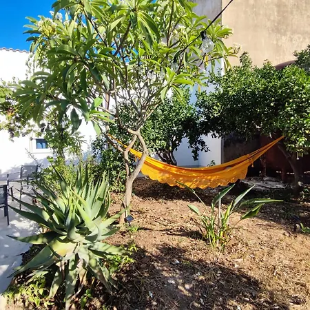 L'araucaria Guest house Marsala