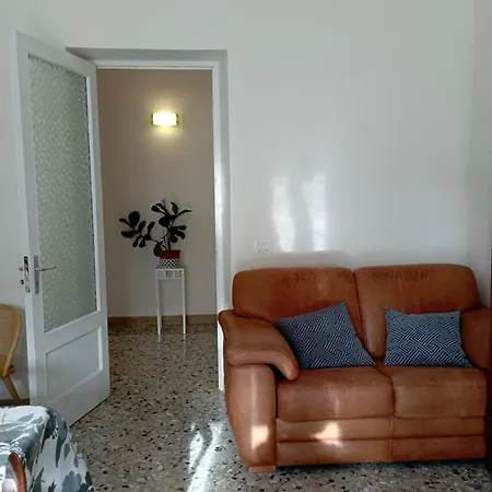 L'araucaria Marsala