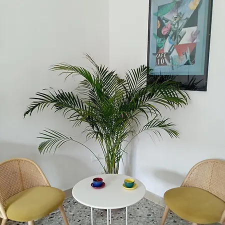 L'araucaria